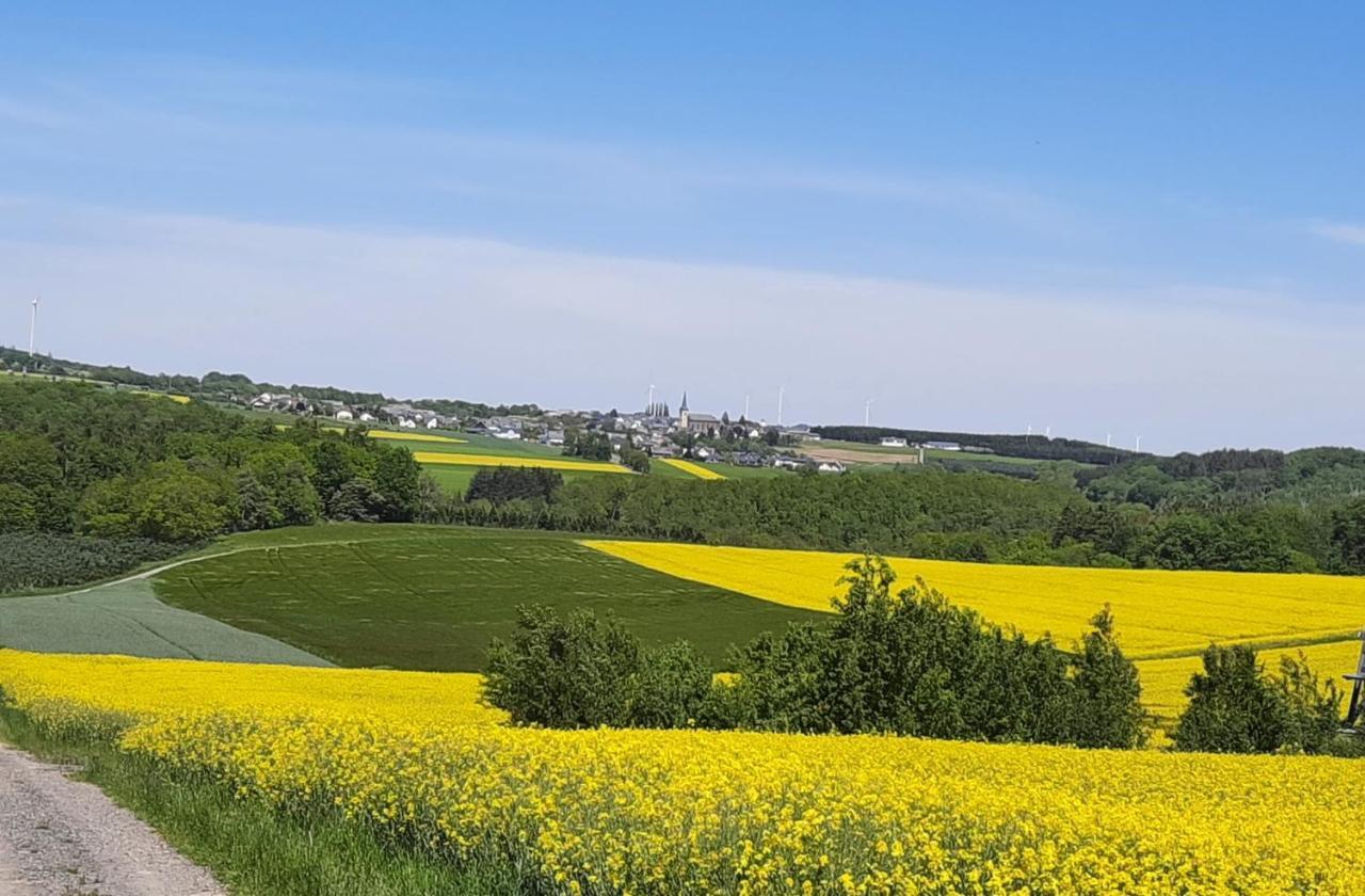 Kleine-Eifel-Auszeit Apartman Hambuch Kültér fotó
